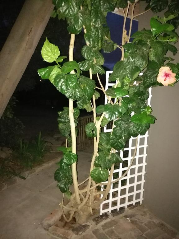 Willows Curve Somerset West Buitenkant foto